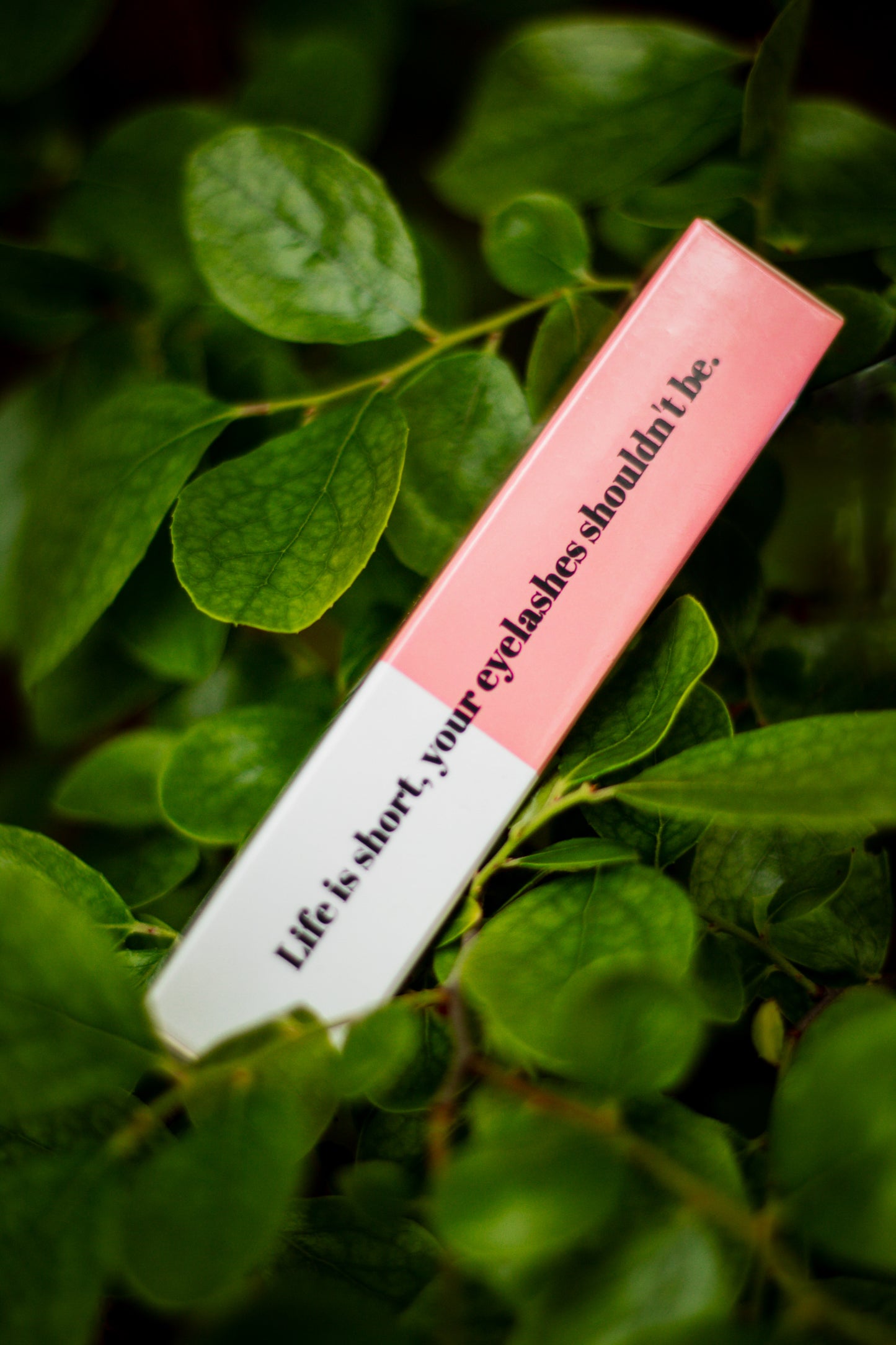 Eyelash Serum